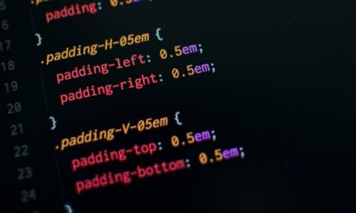 programming language